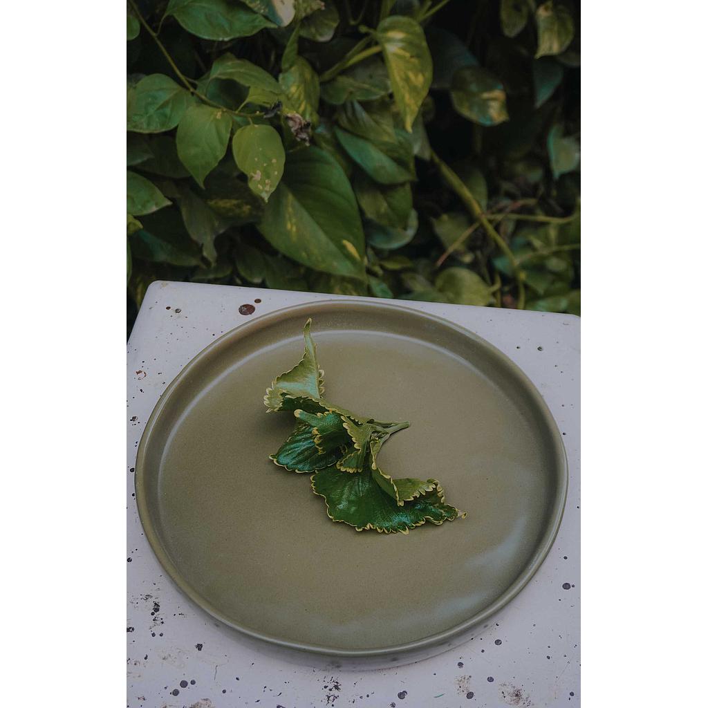 Mustard Plate