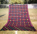 Embroidered Phulkari Shawl            