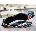 Hand Painted - Khussa