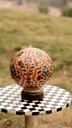 Camel Skin Lamp