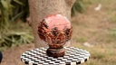 Camel Skin Lamp