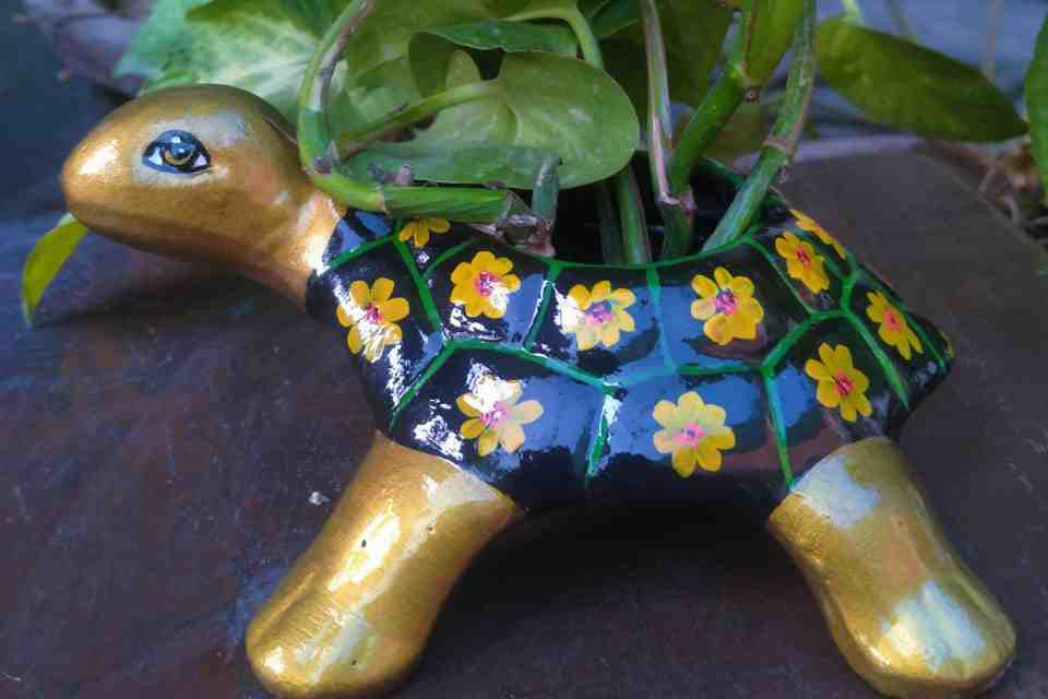 Hand Painted Turtle