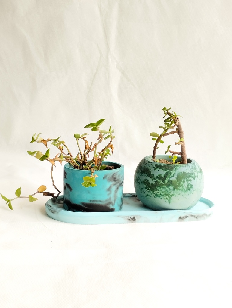Planter (Set of 3)
