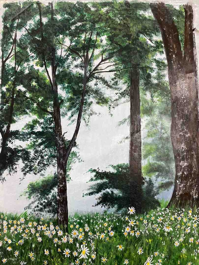Foggy Morning and Field of Daisies