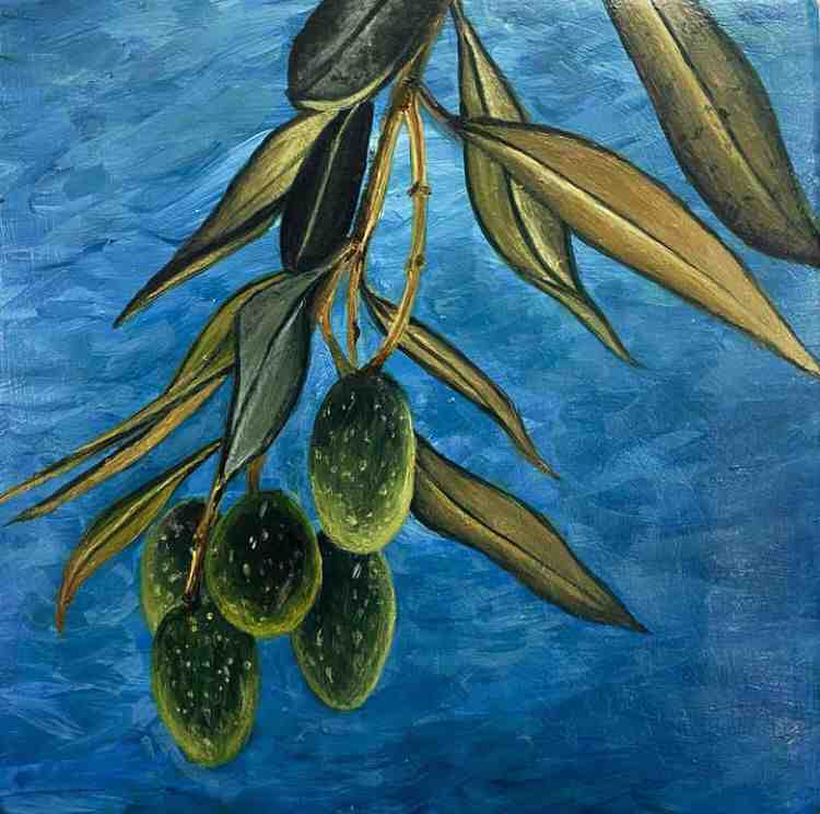 Olive Study on Canvas