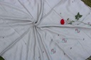 Swati Khaddi Embroidered Wool Shawl
