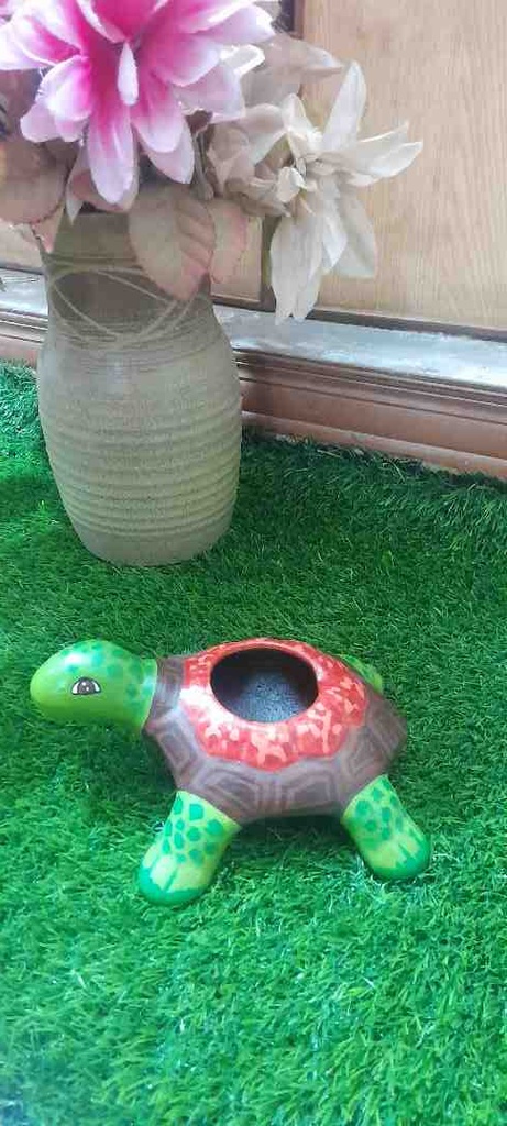 Hand Painted Turtles