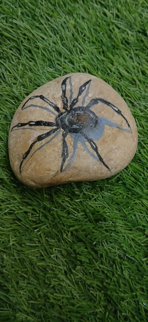 spidey