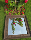 Square Wooden Frame - H103