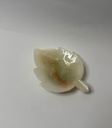 Fossil Glasses Set Of 6