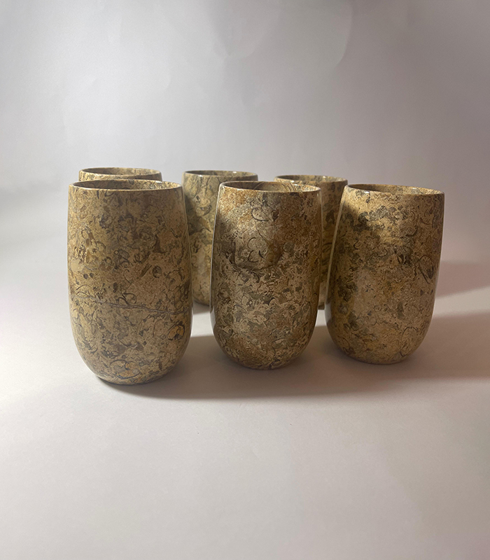 Fossil Glasses Set Of 6