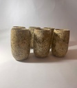 Fossil Glasses Set Of 6