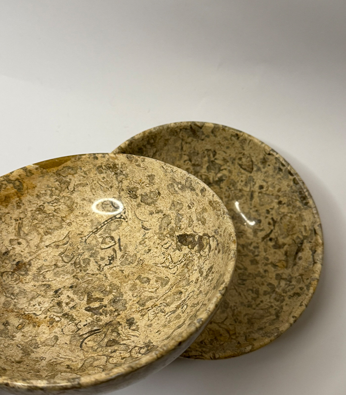 Fossil Bowl Small
