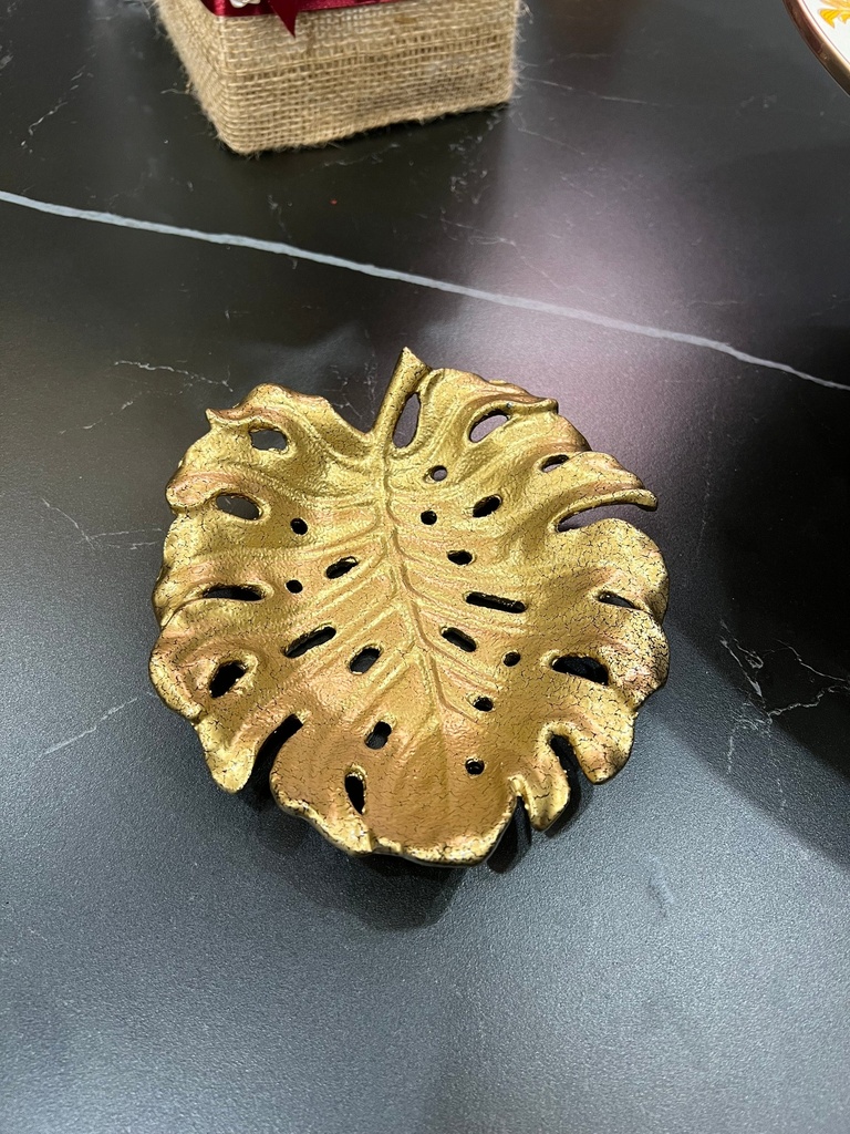 Monstera Leaf