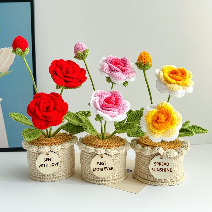 Crochet rose flower pots.