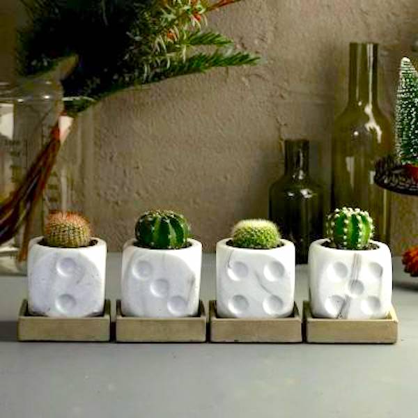 The Dice Planter - White
