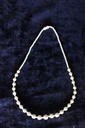 Camelbone Necklace