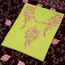 Ladies hand embroidered shirt piece