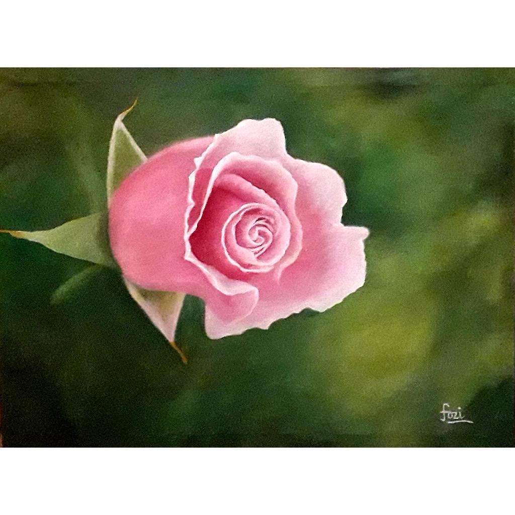 A Pink rose