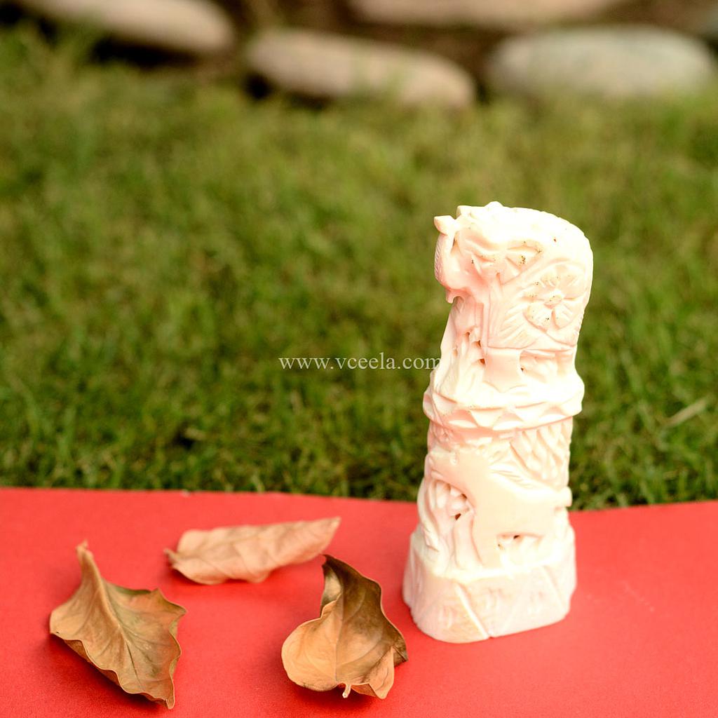 Camel Bone Craft
