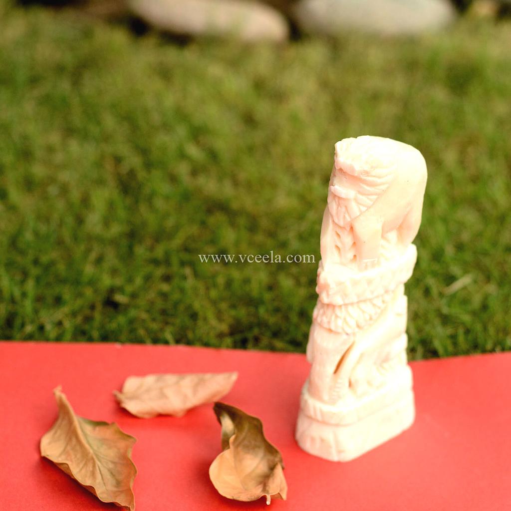 Camel Bone Craft