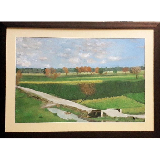 [PK2918-AR-PAI-009245] A way through fields