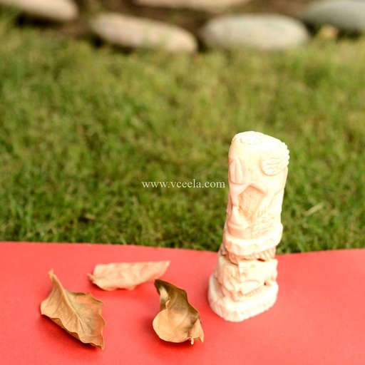 [PK0075-CF-BON-009468] Camel Bone Craft