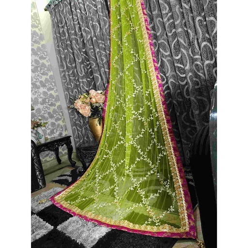 [PK3342-CW-SCF-010792] Traditional and Beautiful Dupatta