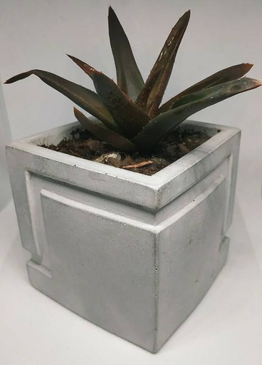 [PK0849-GN-GEN-011735] Cube Planter D1