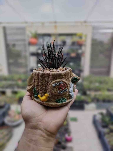 [PK0849-GN-GEN-011750] Warm House Planter
