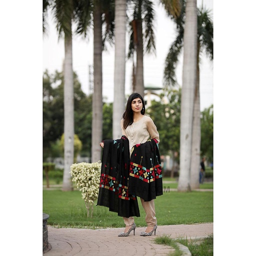 [PK3778-CW-SCF-012125] Embroidered Phulkari Shawl