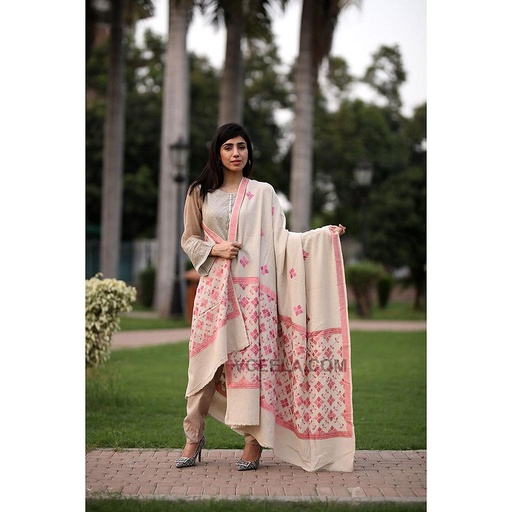 [PK3778-GN-GEN-012126] Embroidered Phulkari Shawl