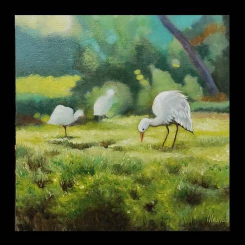 [PK3360-AR-PAI-012289] Early birds