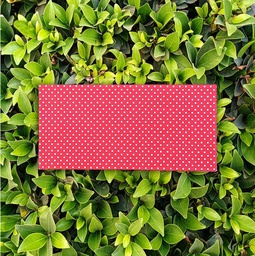 [PK3932-GN-GEN-012422] Envelope- Polka Dots (White on Red)