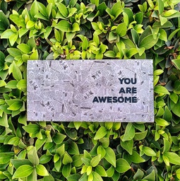 [PK3932-GN-GEN-012429] Envelope- You are Awesome