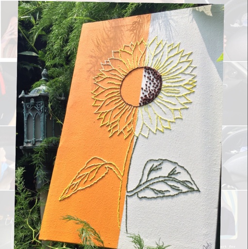 [PK3922-AR-ACR-012577] Sunflower