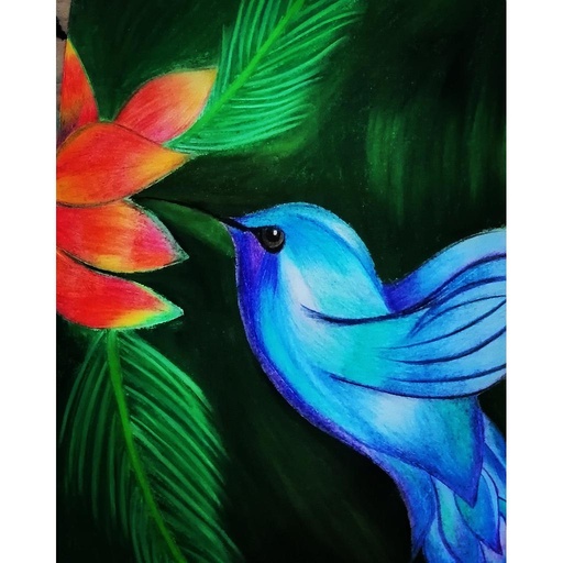 [PK4378-AR-DRW-013217] Art Of A Bird