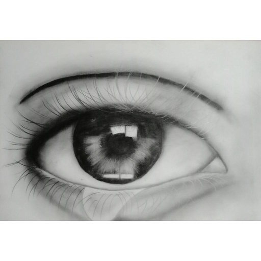 [PK4419-AR-PNC-013365] Realistic eye