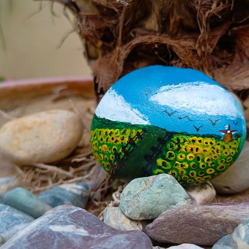 [PK4318-AR-ACR-013693] Sunflower field on the Pebble