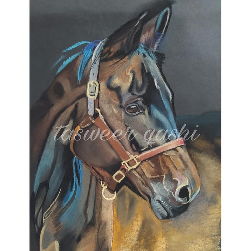 [PK4259-AR-PAS-013867] A Horse Drawing