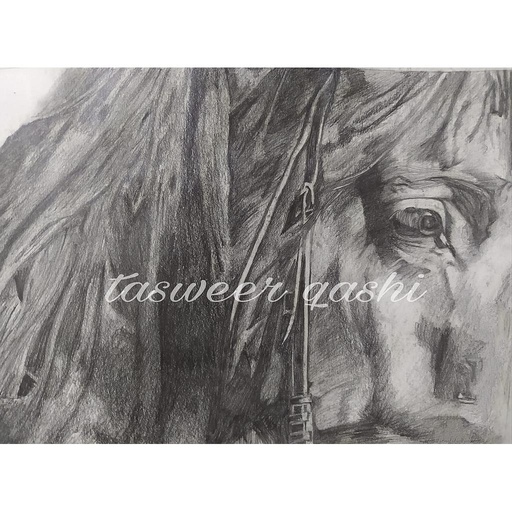 [PK4259-AR-PNC-013868] Horse Face