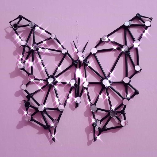 [PK4662-MR-CMB-014159] Butterfly 