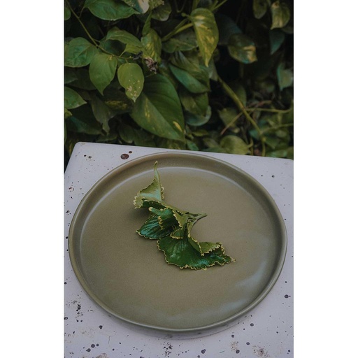 [PK0441-CF-CLY-015493] Mustard Plate