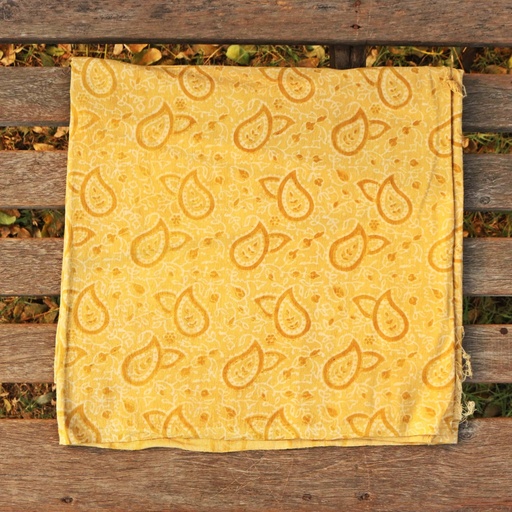 [PK0013-CW-UNS-001791] Ajrak Riley / Shirt Piece