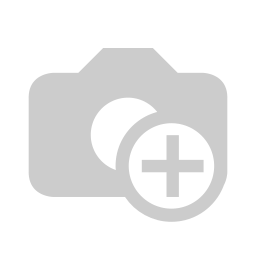 [PK6411-GN-GEN-019251] Aari jaal Shawl