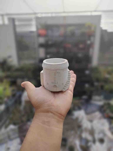 [PK0849-HM-PLN-024258] Mini Castle Planter