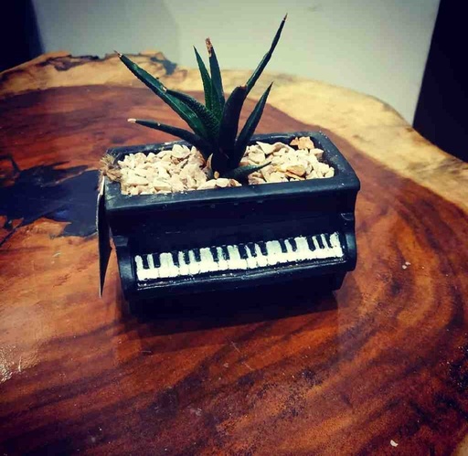 [PK0849-HM-PLN-024261] Piano Shaped Planter