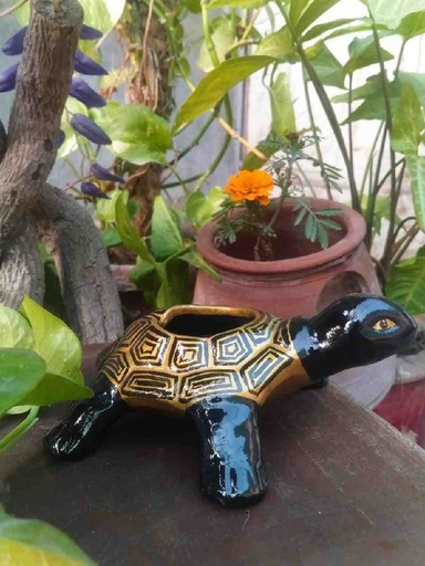 [009] Hand Painted Turtle
