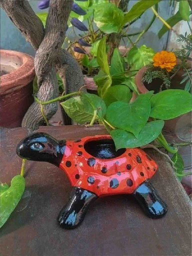 [008] Hand Painted Turtle