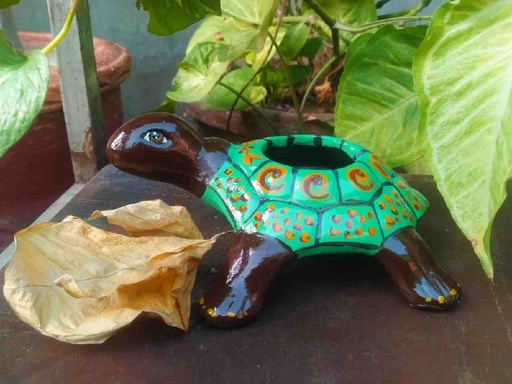 [005] Hand Painted Turtle